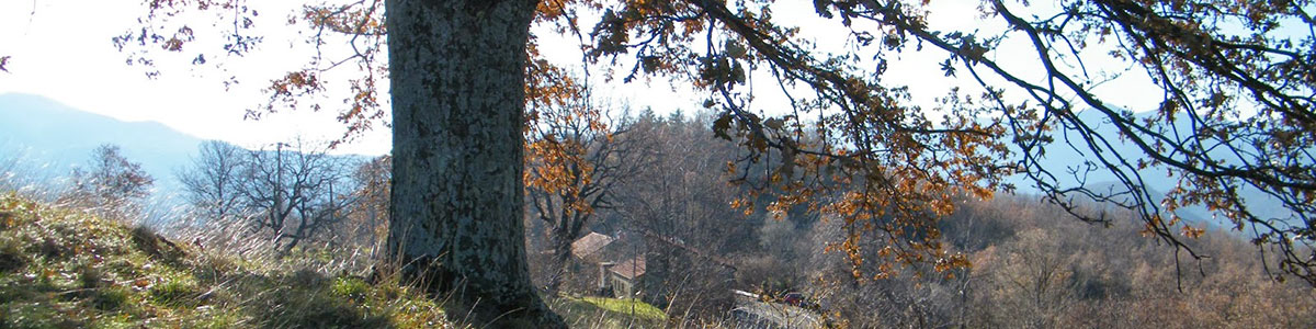 Un laboratorio / Wege in Vergangenheit und Zukunft