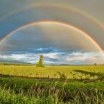 colori-dell-arcobaleno