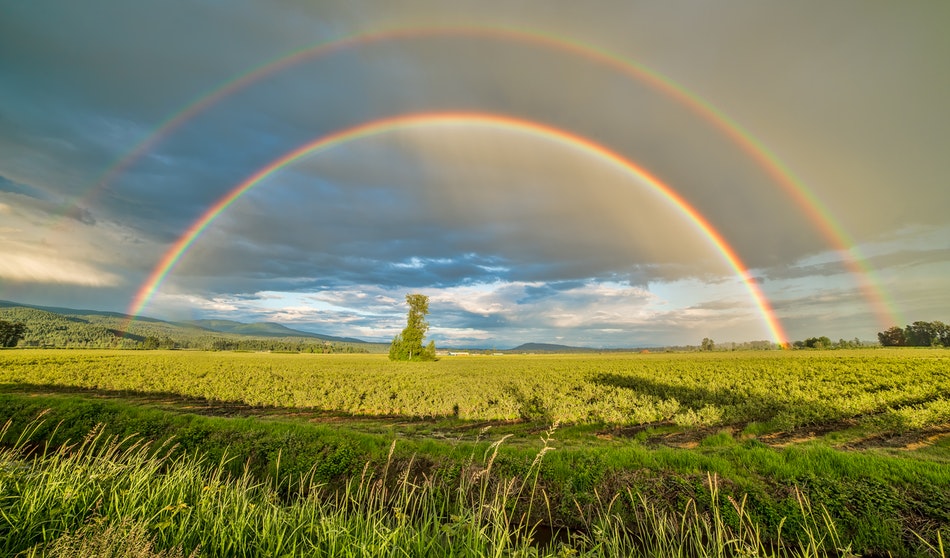 colori-dell-arcobaleno